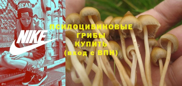 МДМА Беломорск